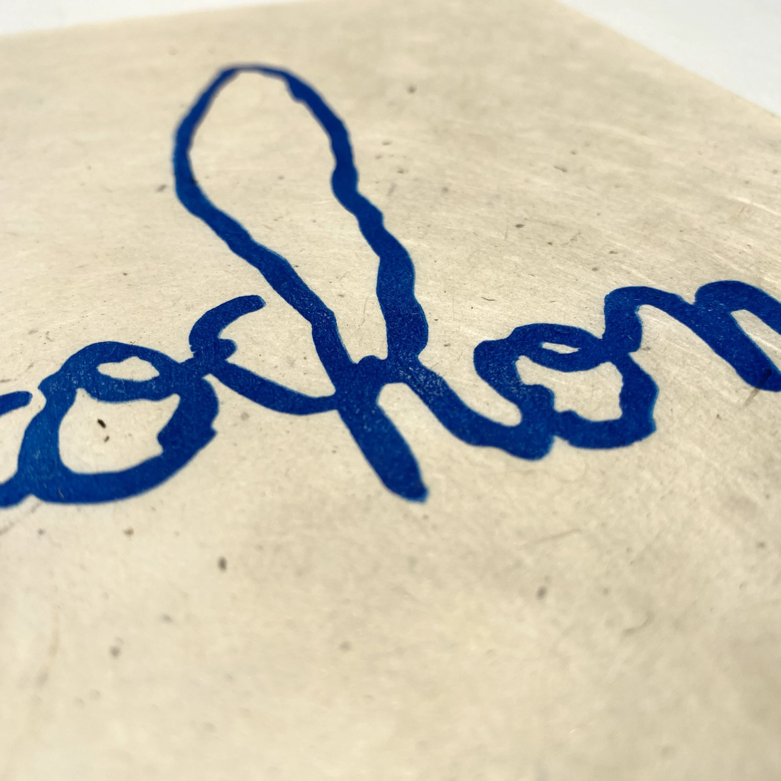 Cochon – Image 4