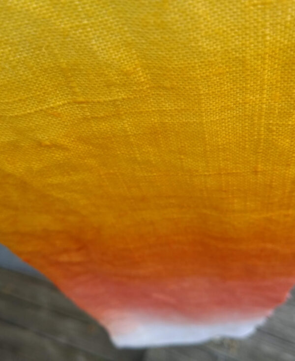 Teinture végétale