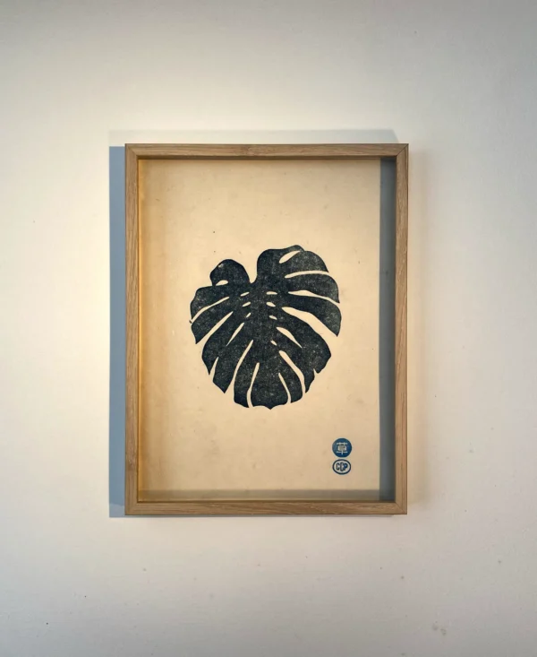 Monstera