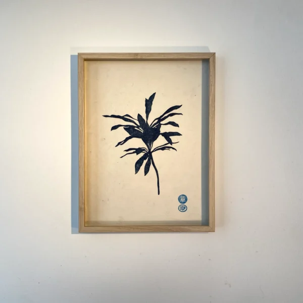 Tropicale