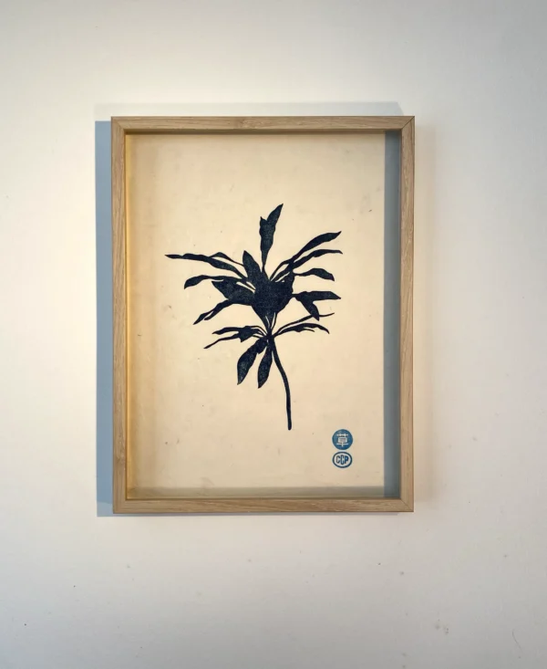 Tropicale
